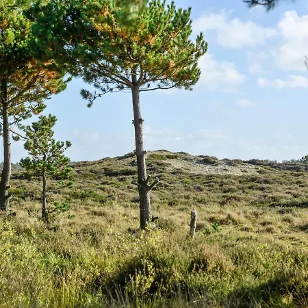 بيت للعطل Trana - 2km From The Sea In Western Jutland By Interhome Kongsmark